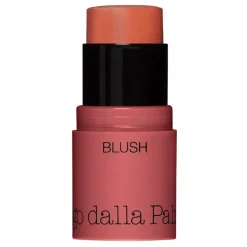 All In One Blush