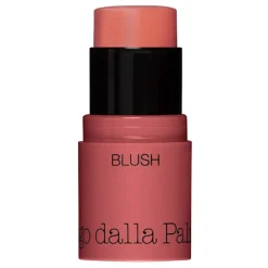 All In One Blush