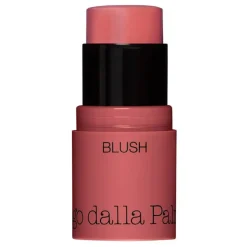 All In One Blush