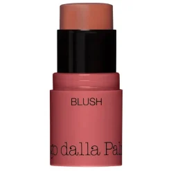 All In One Blush