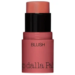 All In One Blush