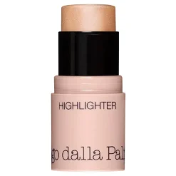 All In One Highlighter