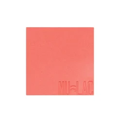 Blush in povere Refill