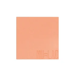Blush in povere Refill
