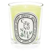 Candela Citronelle