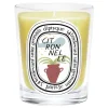 Candela Citronelle 2023