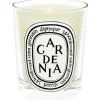 CANDELA PROFUMATA GARDENIA 190 GR