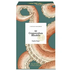 Crepusculum EDP