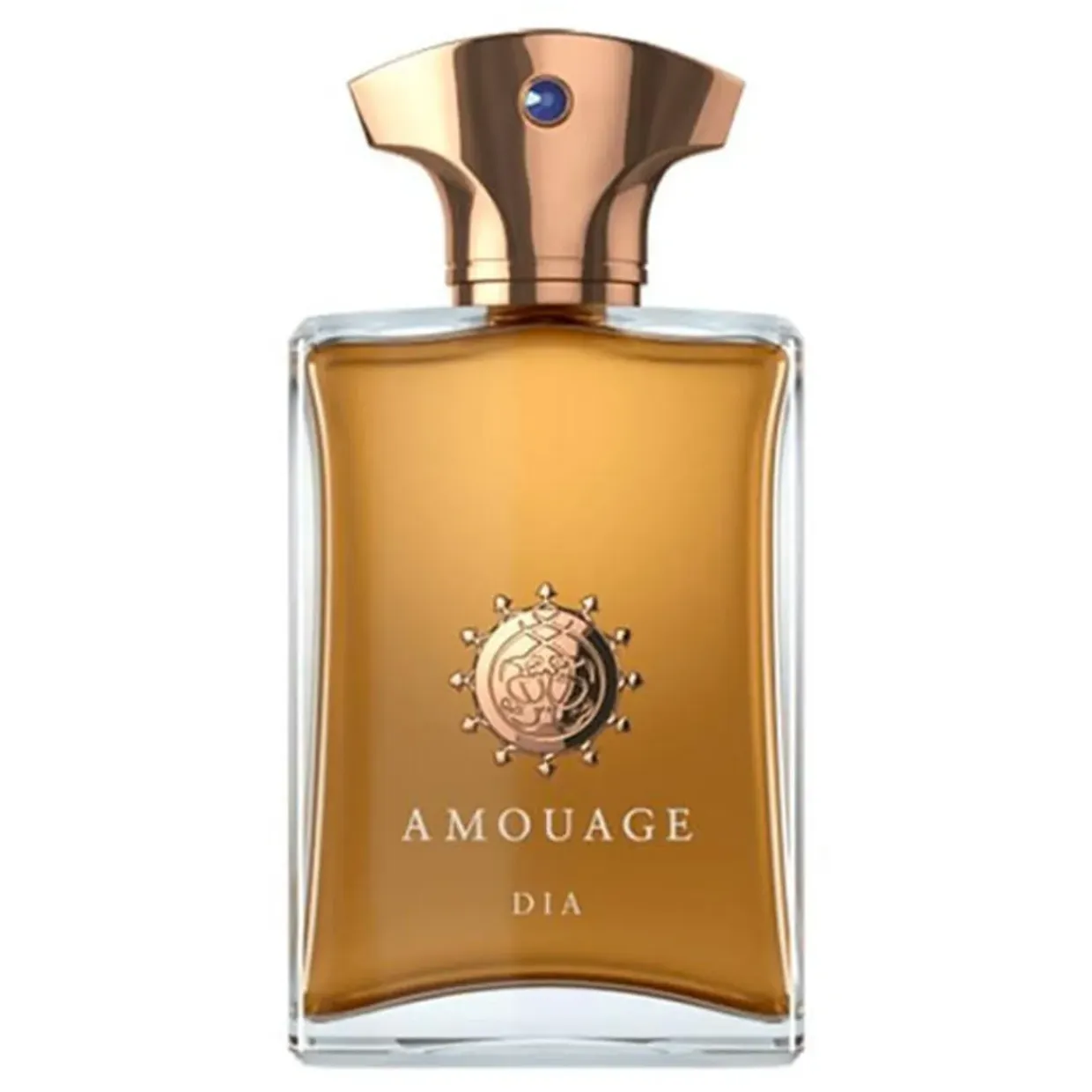 Dia Man Eau de Parfum 100ml