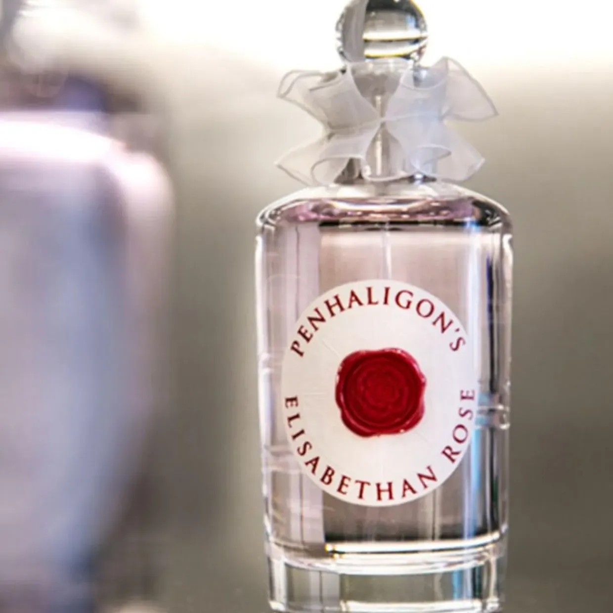 Elisabethan Rose EDP