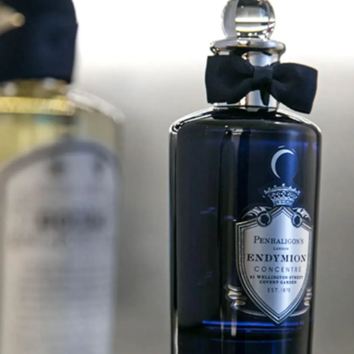 Endymion Concentre EDP