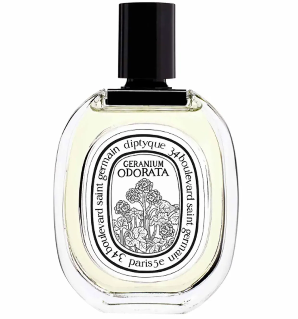 Geranium Odorata Eau de Toilette