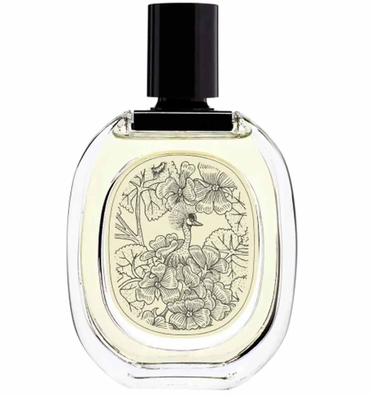 Geranium Odorata Eau de Toilette