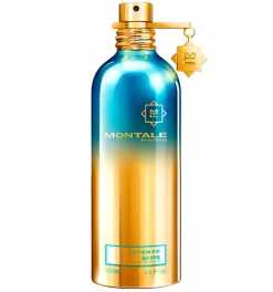 INTENSE SO IRIS EXTRAIT DE PARFUM SPRAY 100ml