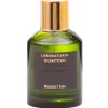 Mandarino Eau de Parfum Cologne 100ML
