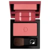 Polvere Compatta Guance - Blush