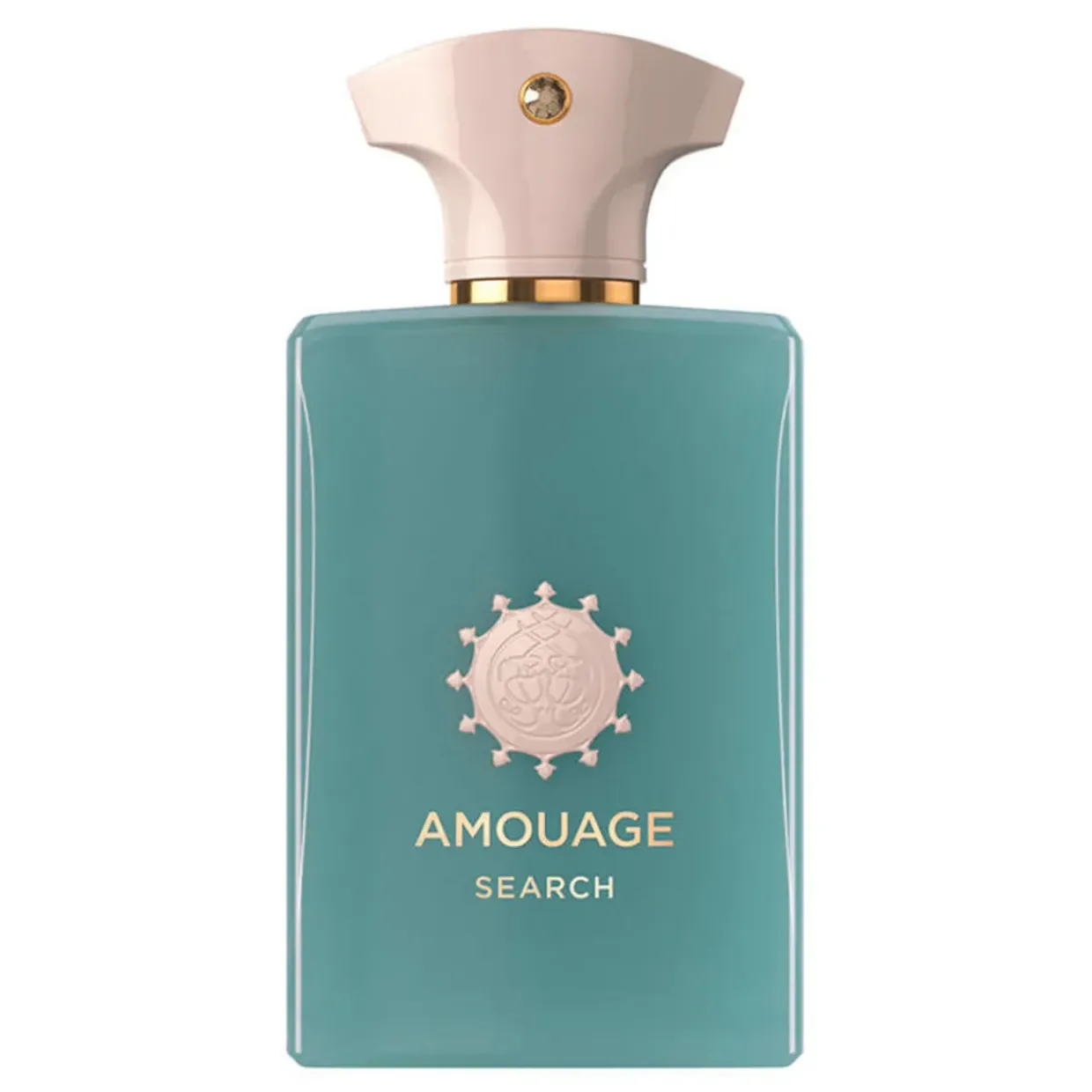 Search Eau de Parfum