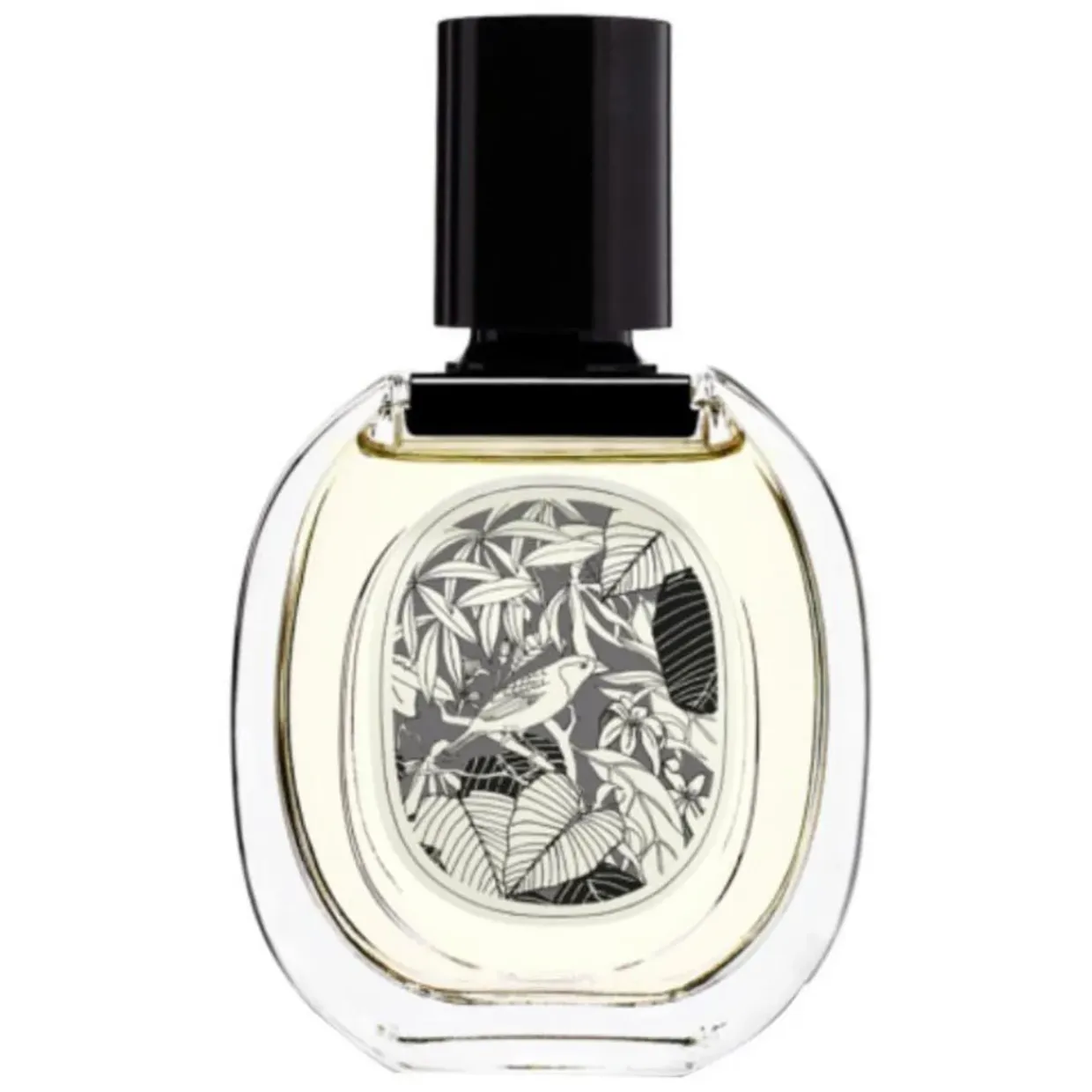 Vetyverio Eau de Toilette