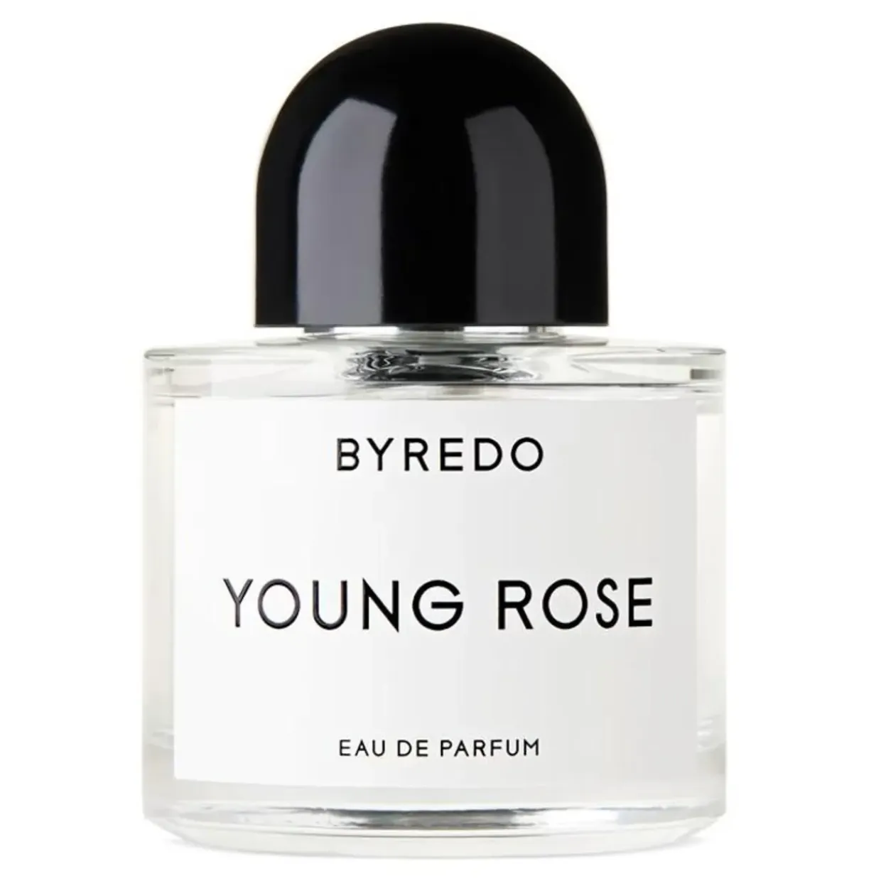 Young Rose Edp