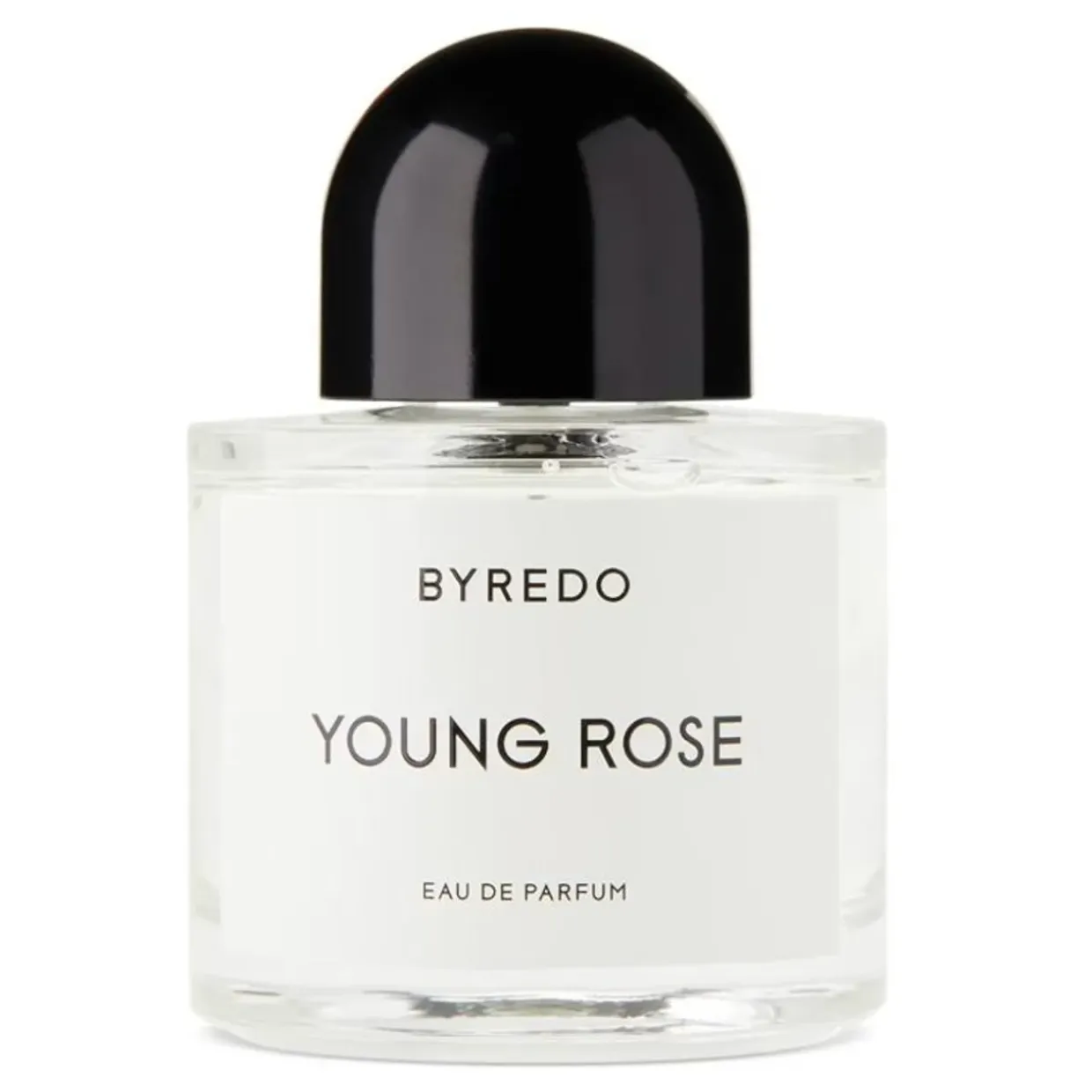 Young Rose Edp